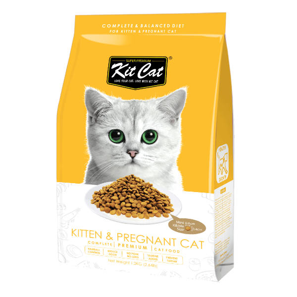 Kit Cat Kitten & Pregnant (Healthy Growth) Dry Cat Food