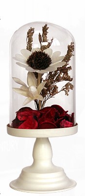 FLOWER Bình hoa khô cao trắng cỡ 19.2x8.5cm 5105S
