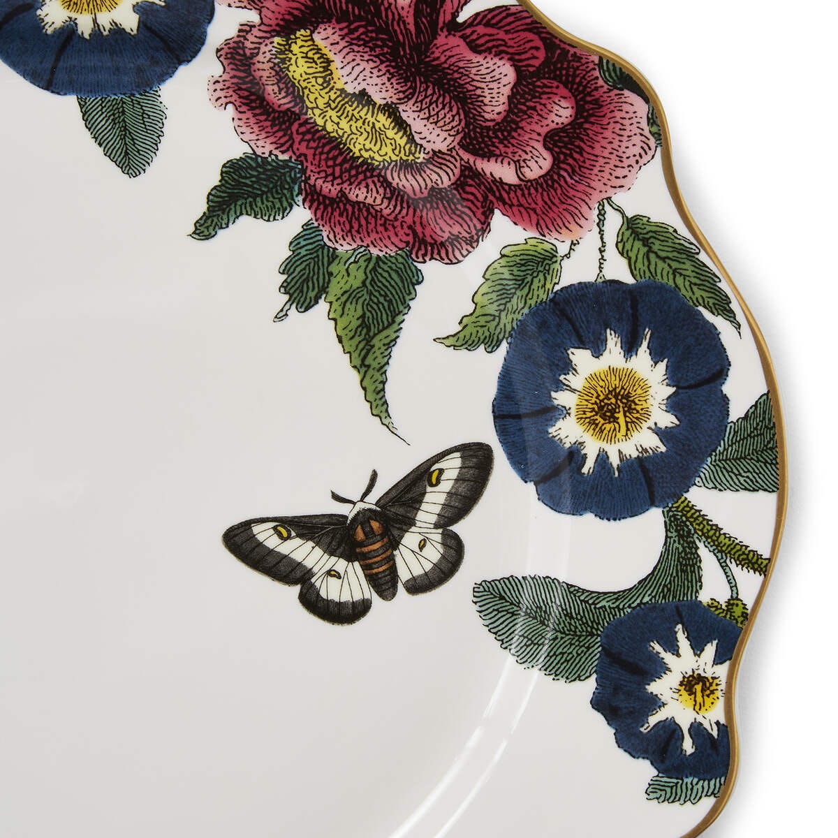 PM CREATURES of CURIOSITY White đĩa 27cm mạ vàng 22ct thương hiệu Portmeirion CRCWH8950-XF