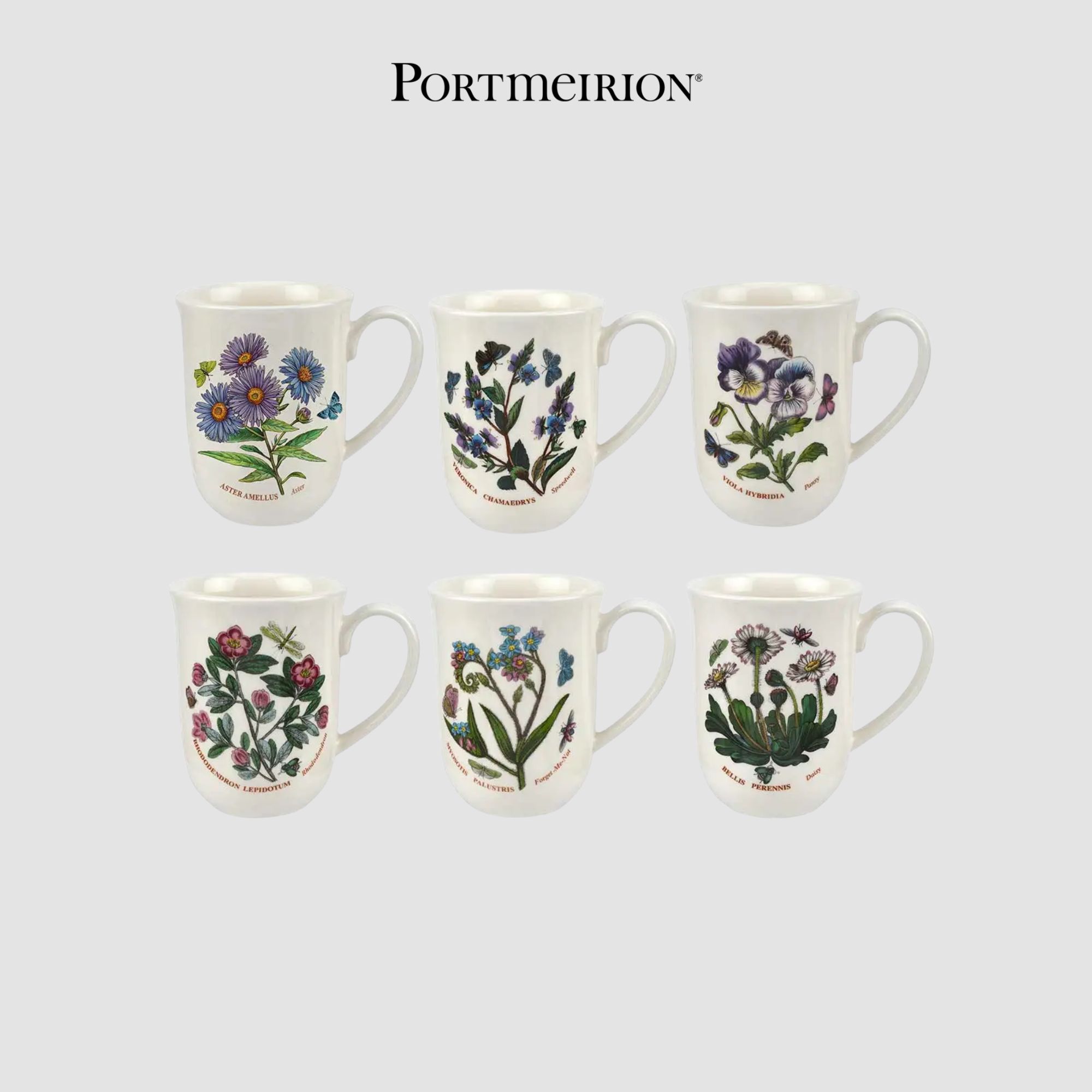 PM BOTANIC GARDEN Cốc cao 340ml BG49610