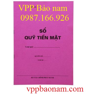 Sổ quỹ tiền mặt