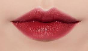 Kết quả hình ảnh cho Son Pourto A màu đỏ mận (số 515)"