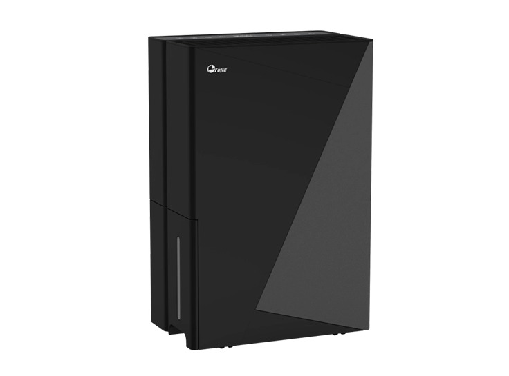 Máy hút ẩm Fujie HM-930ED