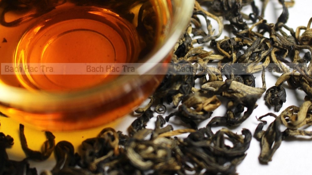 Tổng quan về Hồng trà shan tuyết và quy trình sản xuất