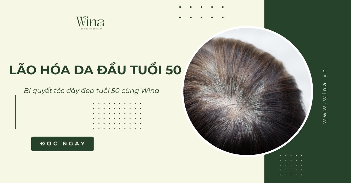 Giải Cứu Da Đầu Lão Hóa: Gốc Rễ Của Mái Tóc Thưa Yếu, Khô Xơ Ở Tuổi 50