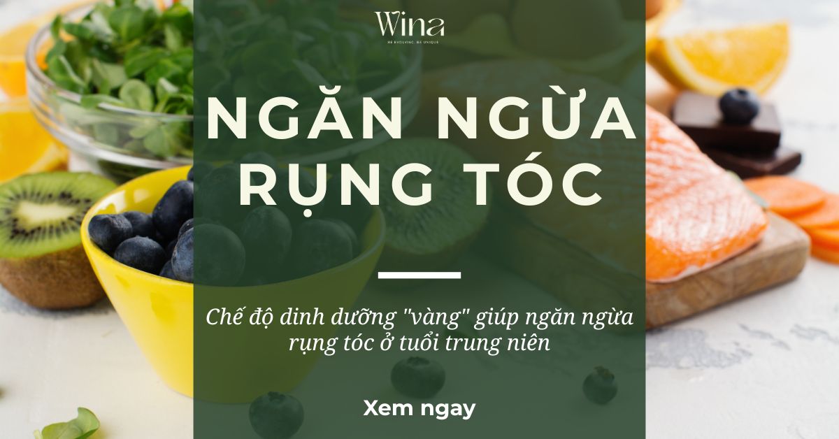 Chế Độ Dinh Dưỡng 
