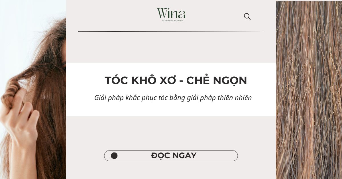 Khắc Phục Tóc Khô Xơ, Chẻ Ngọn Tuổi Trung Niên Bằng Thiên Nhiên