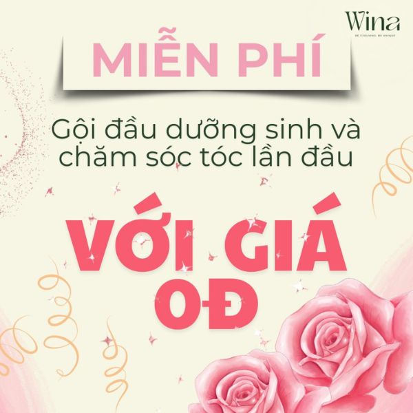 Trong thời gian khai trương, quý khách hàng có thể tận hưởng dịch vụ gội đầu dưỡng sinh tại Wina hoàn toàn miễn phí