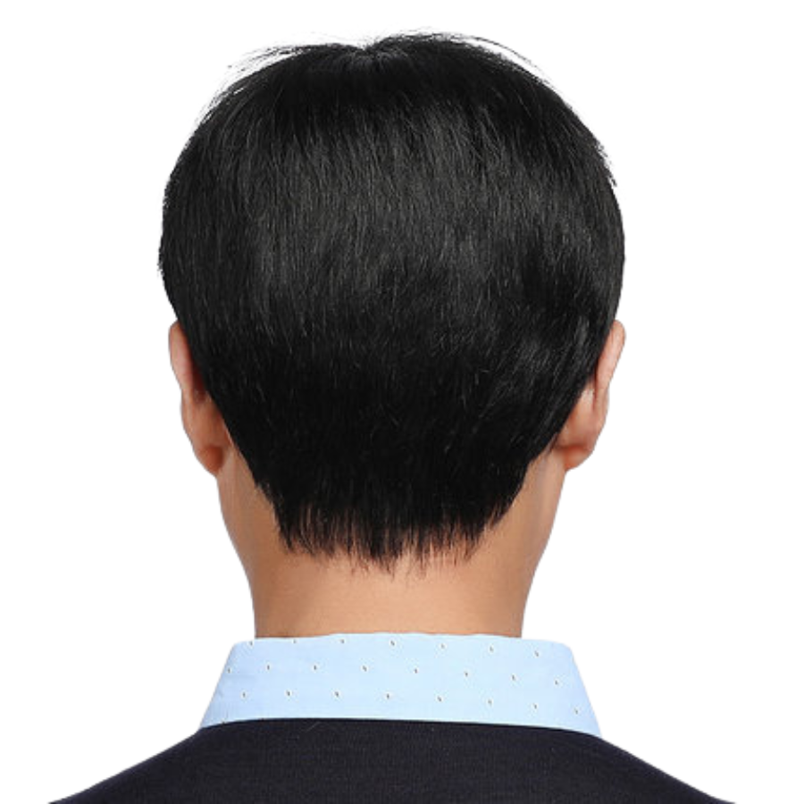 tóc giả nam bằng tóc thật