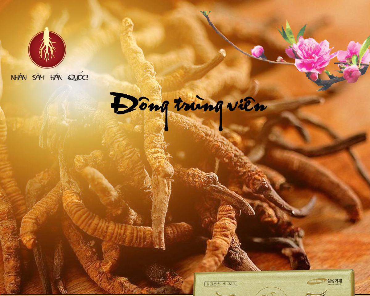 ong-trung-ha-thao-han-quoc-co-gi-ac-biet