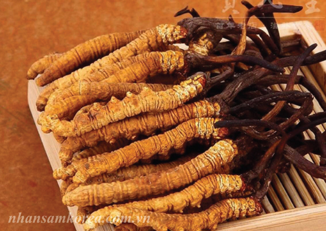 tim-mua-vien-ong-trung-ha-thao-chat-2