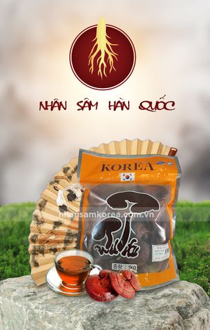 Nấm linh chi chữa được bệnh ung thư không 1 nam-linh-chi-2