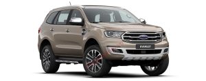 Ford Everest màu ghi vàng	