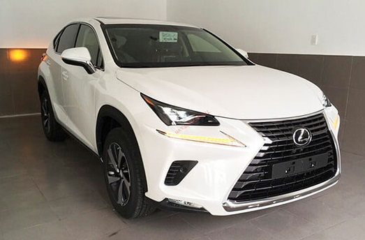 Giá xe Lexus NX300 2021 lăn bánh 