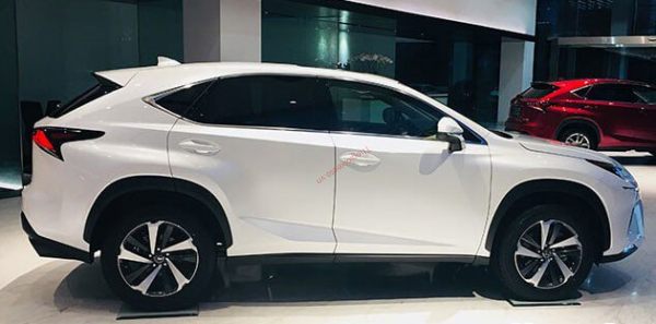 thân xe lexus nx300 2021