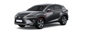 Lexus NX300 màu ghi xám (1H9)