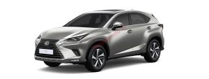 Lexus NX300 màu ghi bạc (1J7)