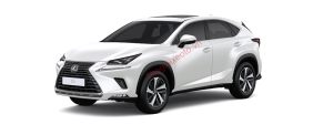 Lexus NX300 màu trắng ngọc trai (089)