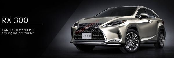 Lexus RX 300 2022