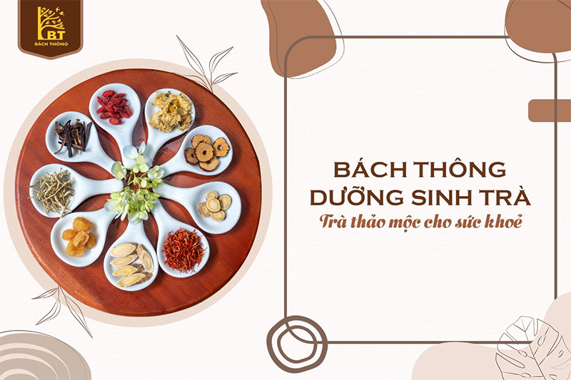 Bách Thông Dưỡng Sinh trà - Trà sạch cho người sành