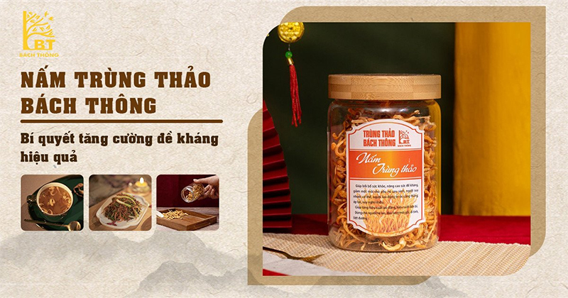 Bách Thông trùng thảo - Thảo dược quý cho sức khoẻ cả gia đình