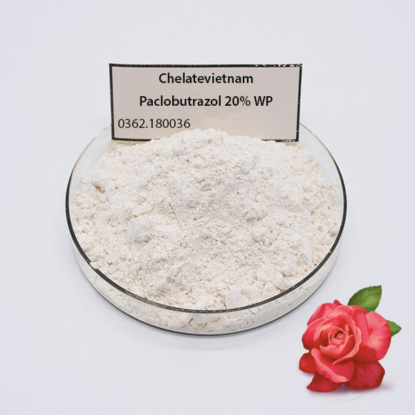 Paclobutrazol là gì? Vai trò của Paclobutrazol trong Nông Nghiệp