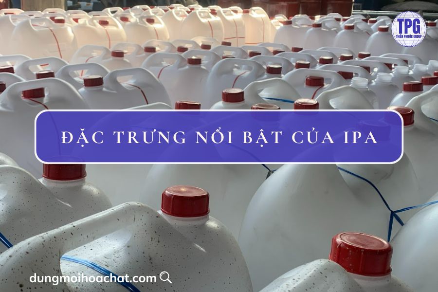 IPA