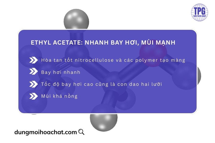 Ethyl Acetate