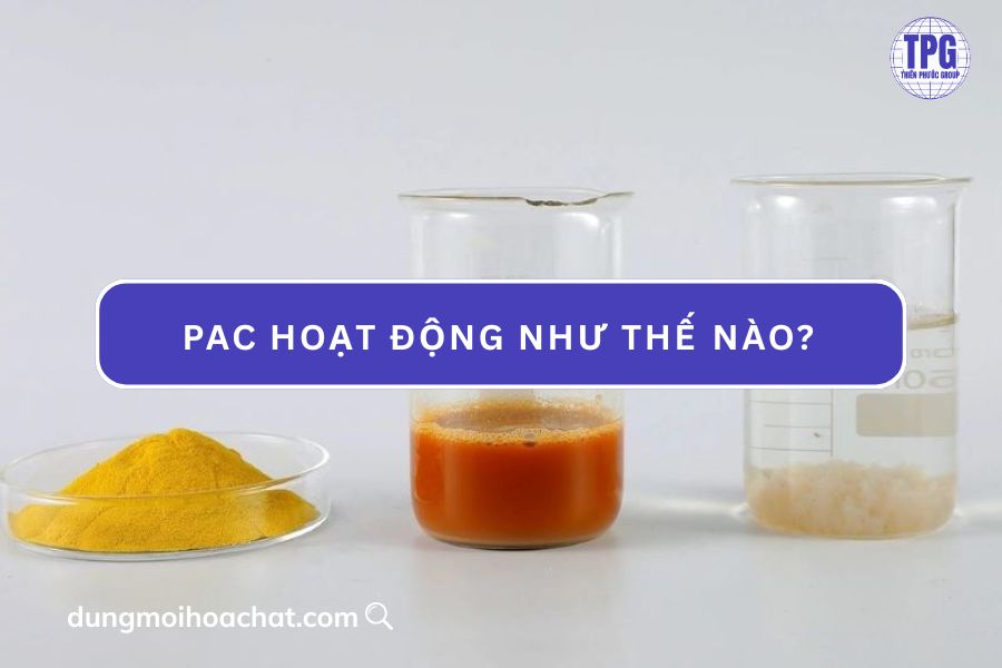 hoạt động của pac