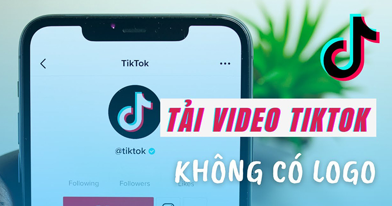 Cách Tải Video TikTok Không Dính Logo Trên Điện Thoại
