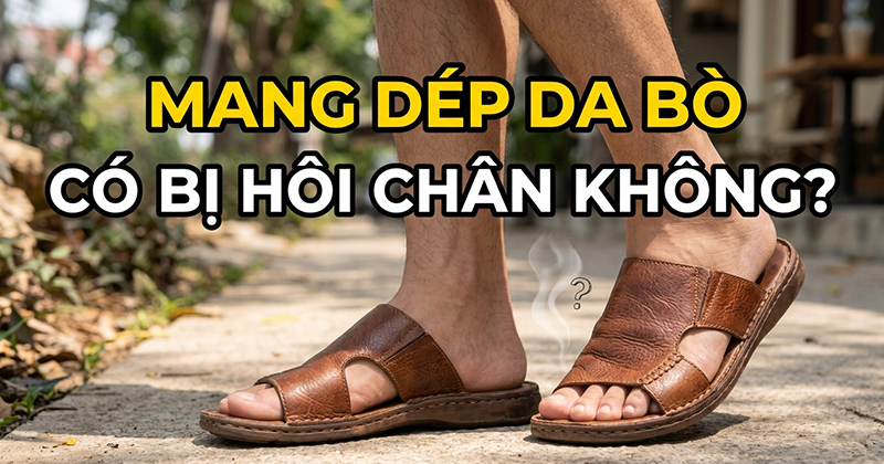 Mang Dép Da Bò Có Bị Hôi Chân Không?