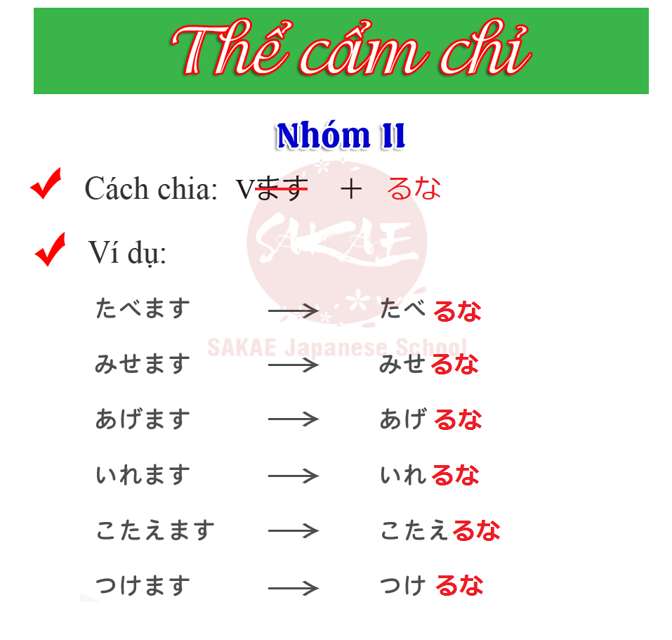Tổng hợp các thể trong tiếng Nhật N5: Hướng dẫn chi tiết và dễ hiểu cho người mới bắt đầu