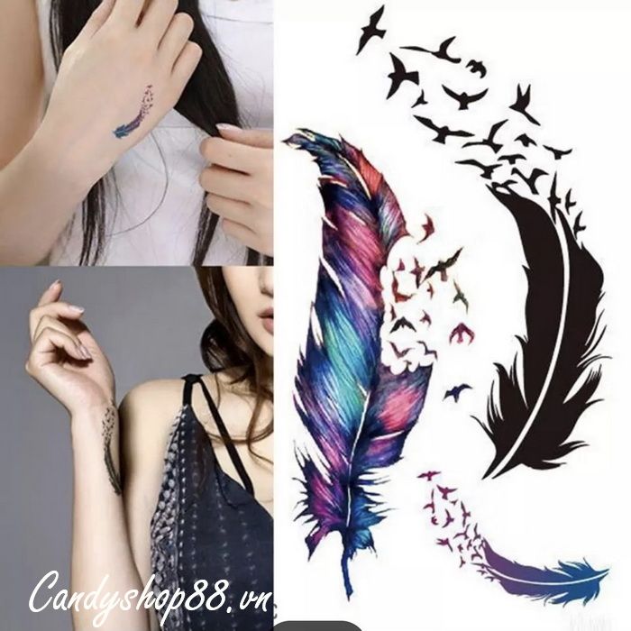 Tổng hợp Lông Vũ Tattoo giá rẻ bán chạy tháng 82023  BeeCost