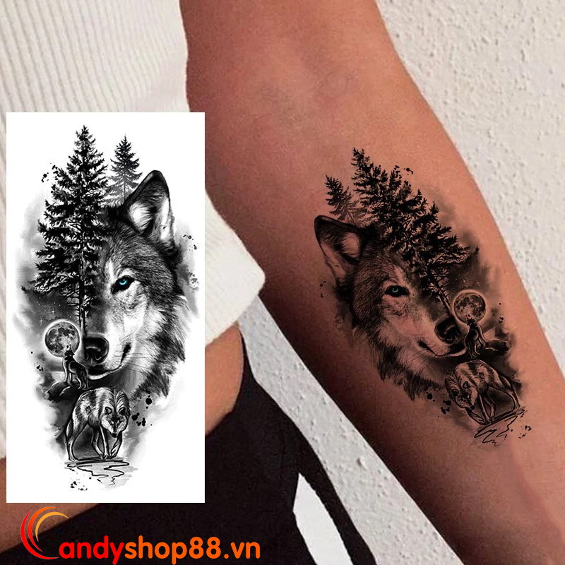 hình xăm tattoo sói