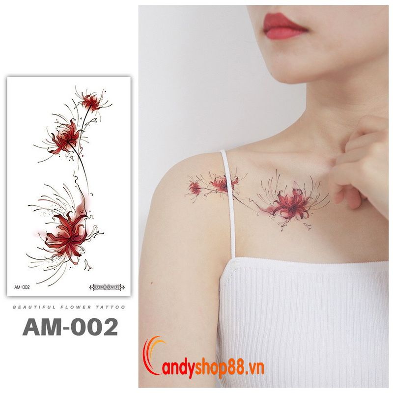 Hình xăm tattoo hoa bỉ ngạn - Candyshop88 Hình Xăm Tattoo Hoa Bỉ Ngạn - Candyshop88