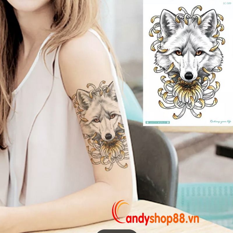 113 Hình Xăm Dán Tatoo Tha Thu Bướm Cáo Hoa Chữ Mèo Kí Hiệu Ngôi Sao   Lazadavn