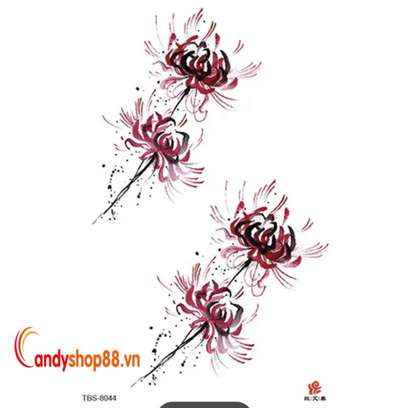 Hình xăm tattoo hoa bỉ ngạn - Candyshop88 Hình Xăm Tattoo Hoa Bỉ Ngạn - Candyshop88