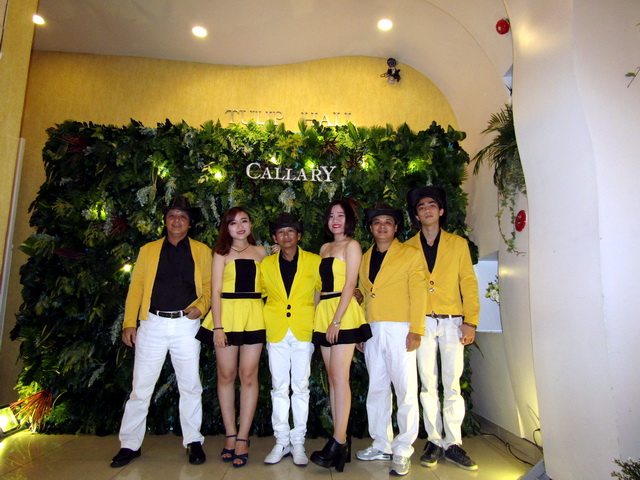 Ban nhạc Flamenco - Ban nhạc chuyên nghiệp-Ban nhạc sài gòn