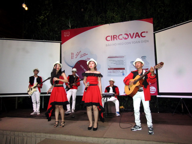 Ban nhạc acoustic - Ban nhạc Flamenco Tumbadora