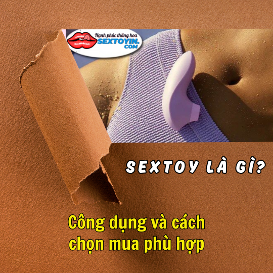 Sextoy là gì? Công dụng & Cách chọn mua phù hợp