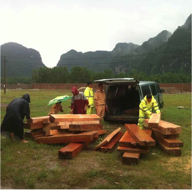 Công an Huyện Minh Hóa thu giữ hơn 1,7 khối gỗ lậu
