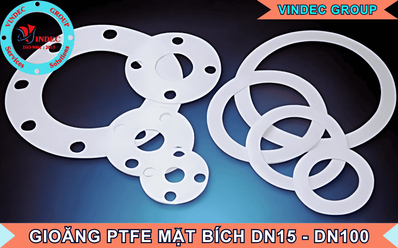 Gioăng PTFE DN 15, 20, 25, 32, 40, 50, 65, 80, 100