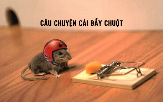 Cái bẫy chuột