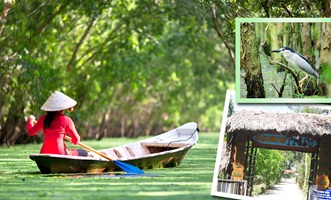 Cuộc sống không phải là cuộc đua.