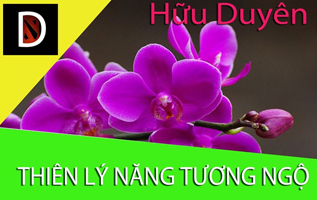 Nhân sinh cũng một kiếp người, biệt ly là để tương phùng mà thôi 