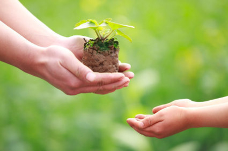 Làm người, ta lựa chọn chân thành; xử sự, ta lựa chọn thiện lương