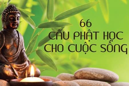 66 câu Phật học làm chấn động Thiền ngữ thế giới