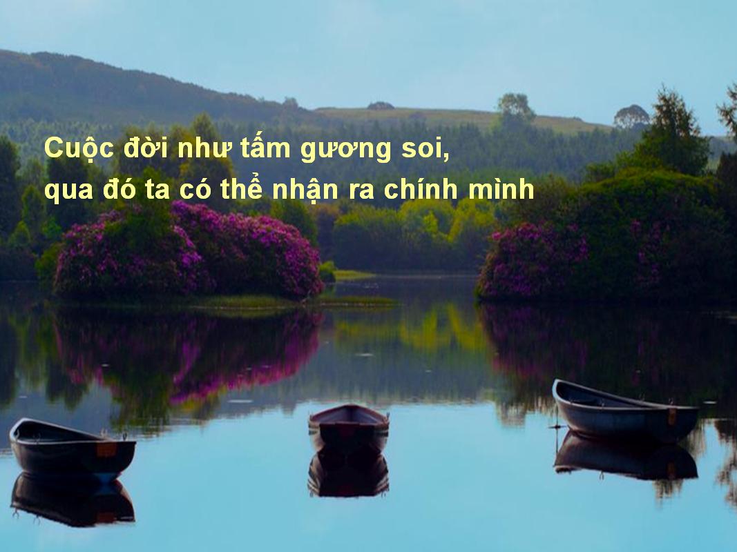 Soi gương đời