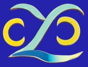 Công ty Chin You Chang