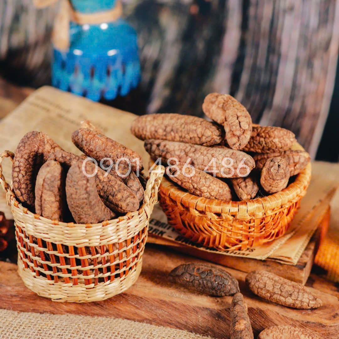 Chuối hột rừng